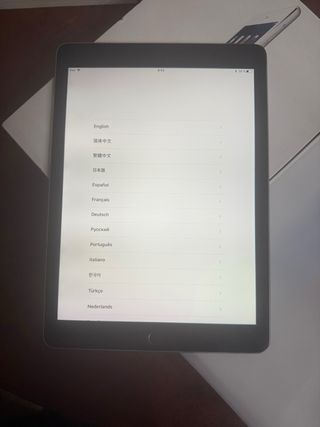 Apple iPad Air 2 Plata/Negro