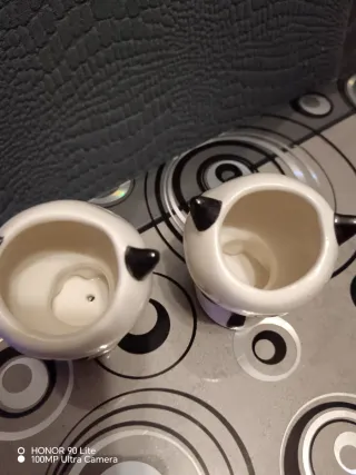 Set 2 Vasi Piantina Gatto