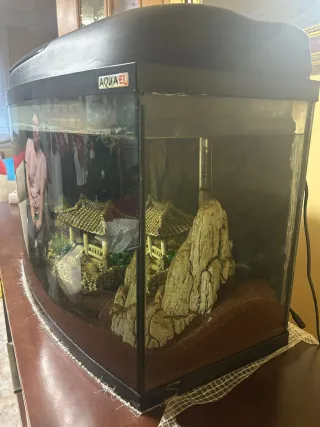Acuario con decoración y kit regalo