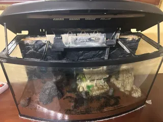 Acuario con decoración y kit regalo