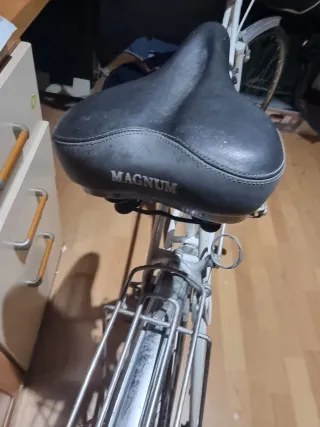 Orbea Berría Vintage Paseo Clásica