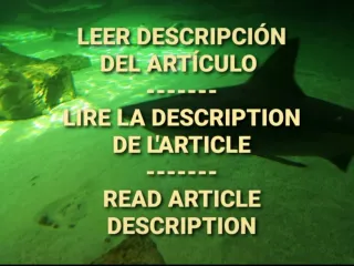 Gafas de Sol Toy's Pasta Blanca