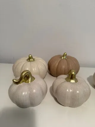 Conjunto decoración de eventos