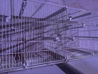 Jaula Pedros de 1 metro Blanca