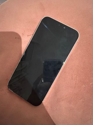 iPhone 12 Pro Max 256GB Argento