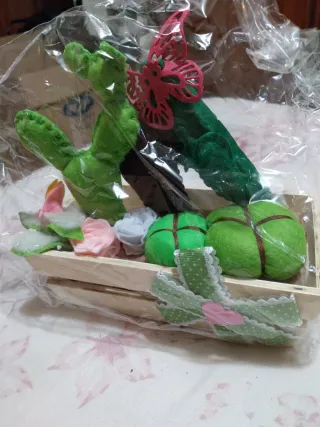 Soprammobile Piante Grasse Pannolenci