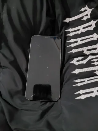 Apple iPhone Gris/Plateado y lleva