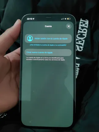 Apple iPhone Gris/Plateado y lleva