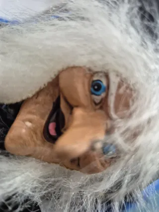 Coppia Befane Natale