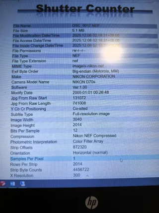 Cámara Nikon D70s con batería y tarjeta