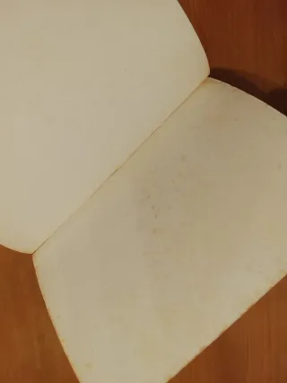 Zani & Ferrari, Calling At London