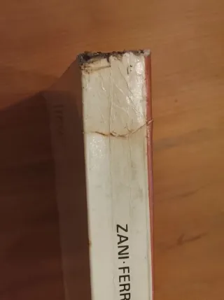 Zani & Ferrari, Calling At London