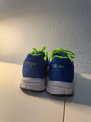 Zapatillas Nike Azul y Verde