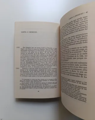 Carta a Meneceo. Máximas capitales.
