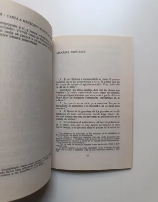 Carta a Meneceo. Máximas capitales.