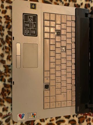 Sony Vaio grigio/argento