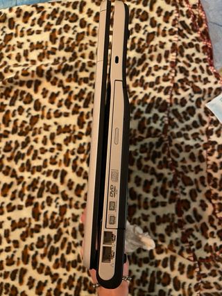 Sony Vaio grigio/argento