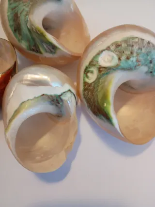 Set 4 conchiglie decorative