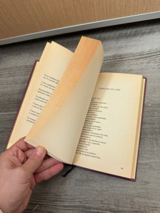 Antologia Poetica (Grandes Poetas)