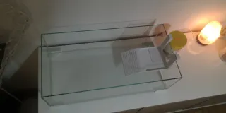 Tortuguera Ciano con rampa