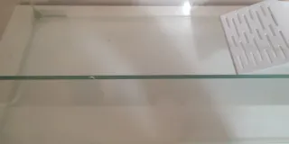 Tortuguera Ciano con rampa