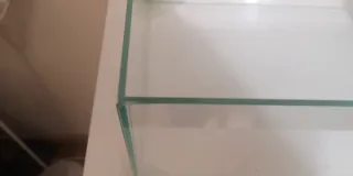 Tortuguera Ciano con rampa