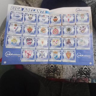 Colección Liga Este 08/09 Panini Cromos