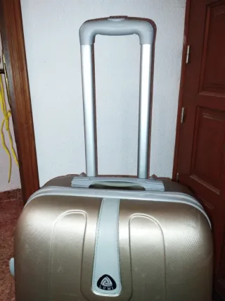 Maleta de bodega color oro/gris