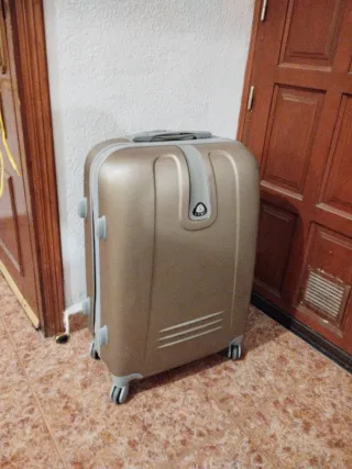 Maleta de bodega color oro/gris