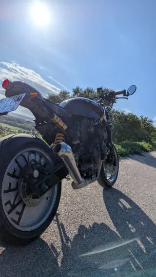 Honda CB 600 Hornet Café Racer