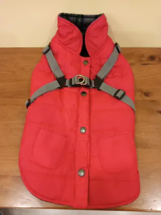 Abrigo impermeable rojo para perro