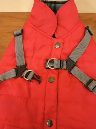 Abrigo impermeable rojo para perro