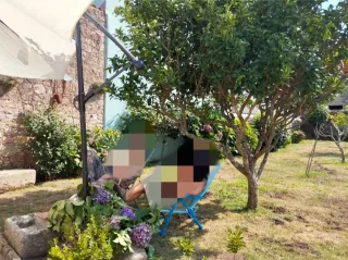 Oferta: Elegante sombrilla de tamaño grande.