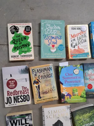 Lote novela libros varios en Ingles