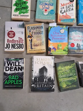 Lote novela libros varios en Ingles