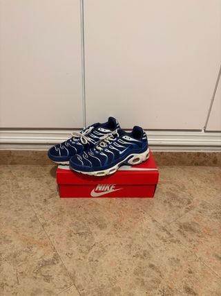 Nike Air Max Plus TN 43