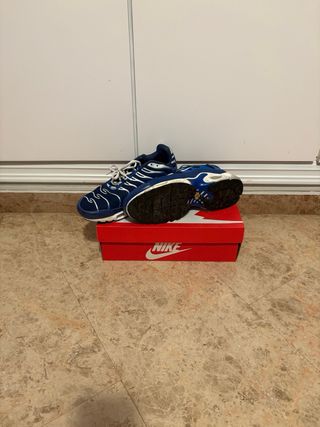Nike Air Max Plus TN 43