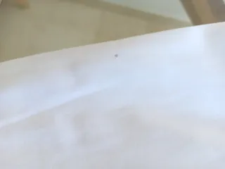 Camisa Hombre Scalpers Talla 39 M