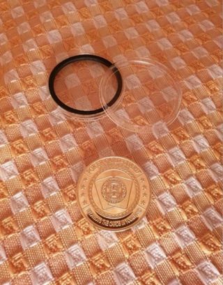 Ficha de poker Pot Committed hoja marihuana