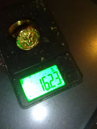 Anillo de oro chapado 24k con diseño de león,