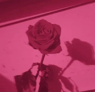 Imanes personalizados!