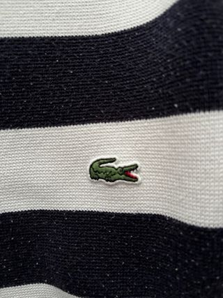 Maglione Lacoste bianco a righe blu – logo coccodr