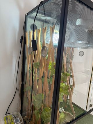 Terrario para camaleón 60x45x90cm