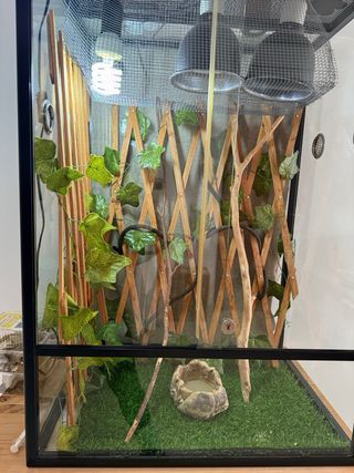 Terrario para camaleón 60x45x90cm