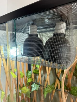 Terrario para camaleón 60x45x90cm