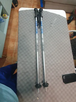 Bastones de esquí Locust