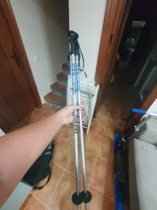 Bastones de esquí Locust