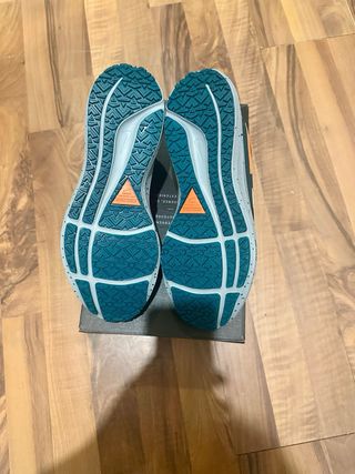 Nike Air Zoom Pegasus Shield