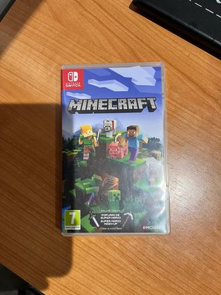 Minecraft Nintendo Switch