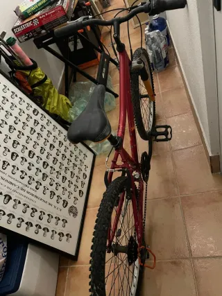 Bicicleta roja